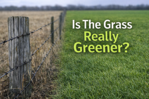 Weathered fence dividing dry brown grass and vibrant green grass under overcast sky, representing the grass is greener mindset and comparison in personal growth and leadership decisions.