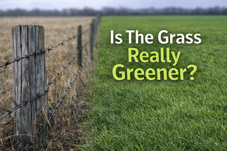 Weathered fence dividing dry brown grass and vibrant green grass under overcast sky, representing the grass is greener mindset and comparison in personal growth and leadership decisions.